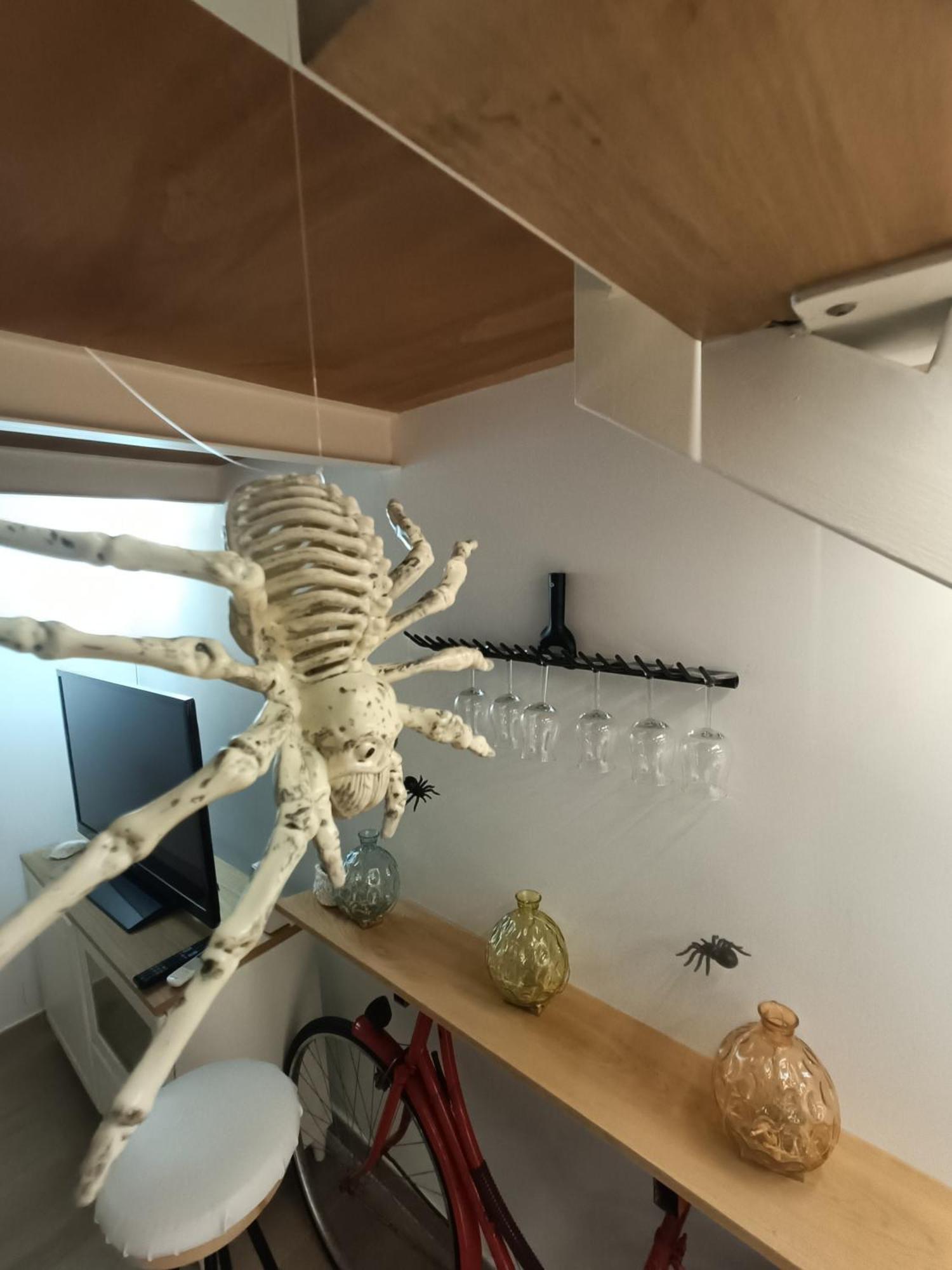 Trastevere In Loft Rzym Zewnętrze zdjęcie